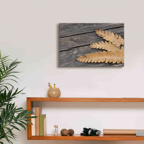 Image of 'Gold on Black VI' by Lori Deiter, Canvas Wall Art,18 x 12