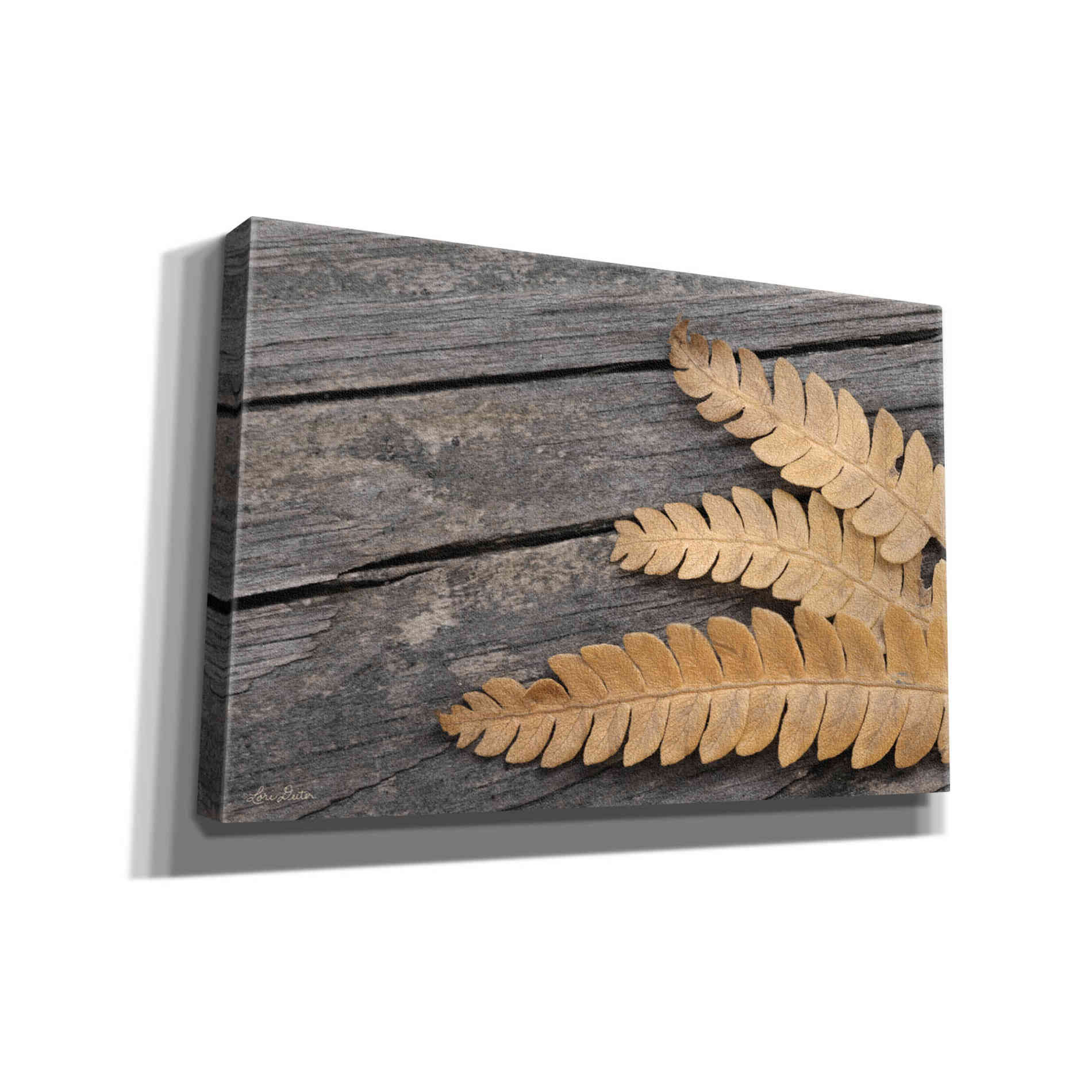 'Gold on Black VI' by Lori Deiter, Canvas Wall Art