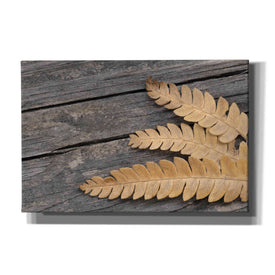 'Gold on Black VI' by Lori Deiter, Canvas Wall Art