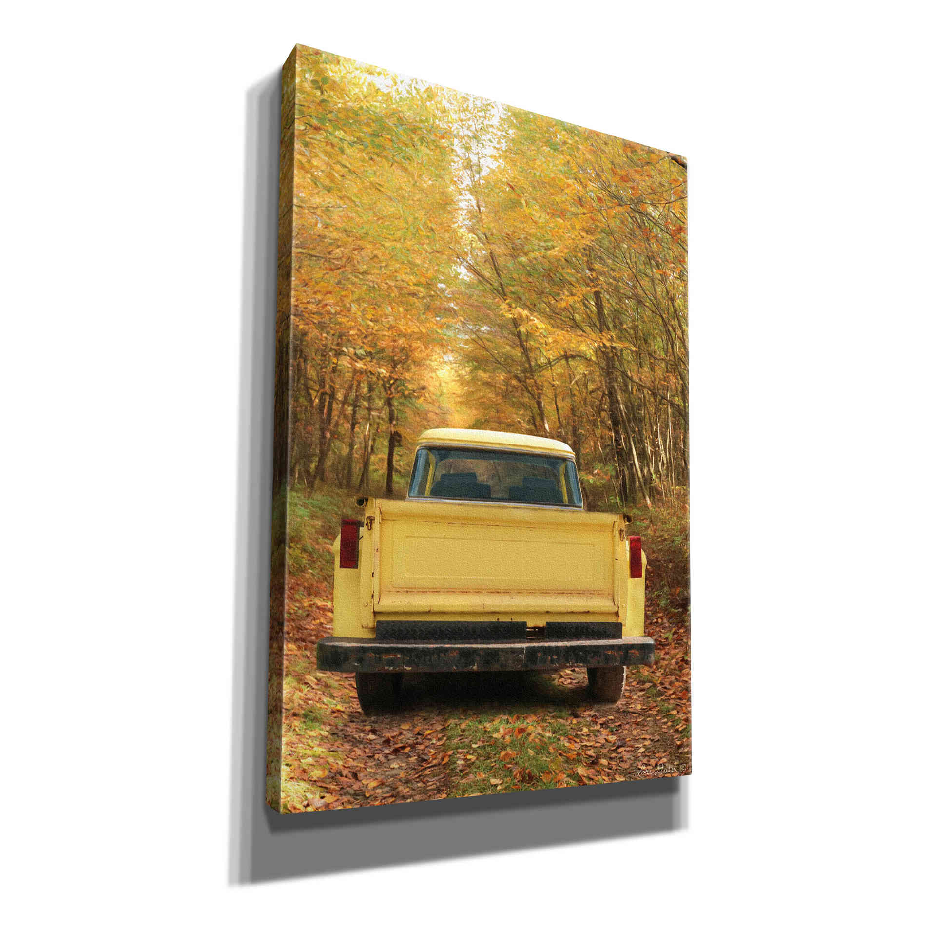 'The Season of Color' by Lori Deiter, Canvas Wall Art