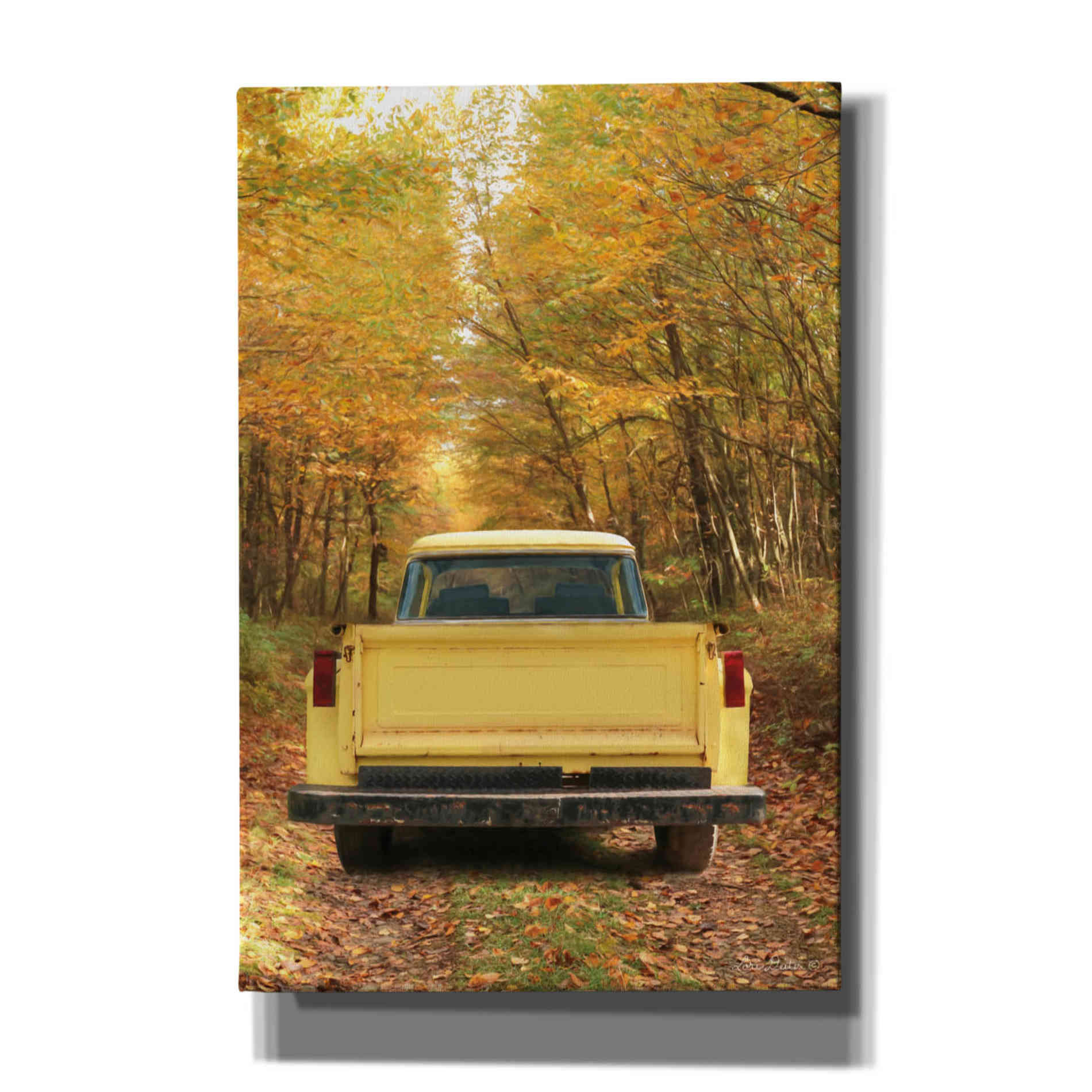 'The Season of Color' by Lori Deiter, Canvas Wall Art