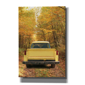 'The Season of Color' by Lori Deiter, Canvas Wall Art