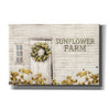 'Sunflower Farm' by Lori Deiter, Canvas Wall Art