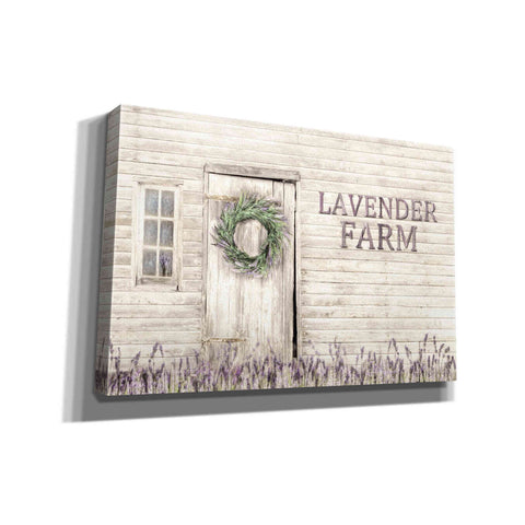 Image of 'Lavender Farm' by Lori Deiter, Canvas Wall Art