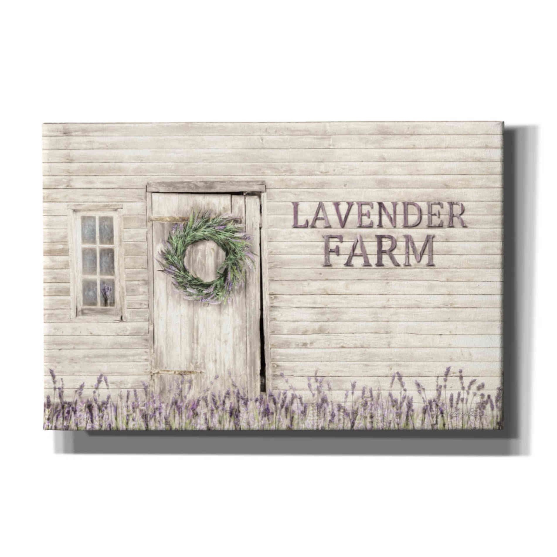 'Lavender Farm' by Lori Deiter, Canvas Wall Art