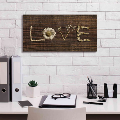 Image of 'Love is All You Need' by Lori Deiter, Canvas Wall Art,24 x 12