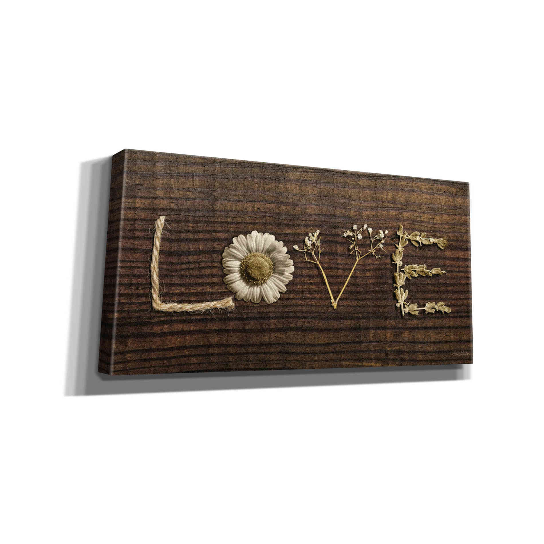 'Love is All You Need' by Lori Deiter, Canvas Wall Art