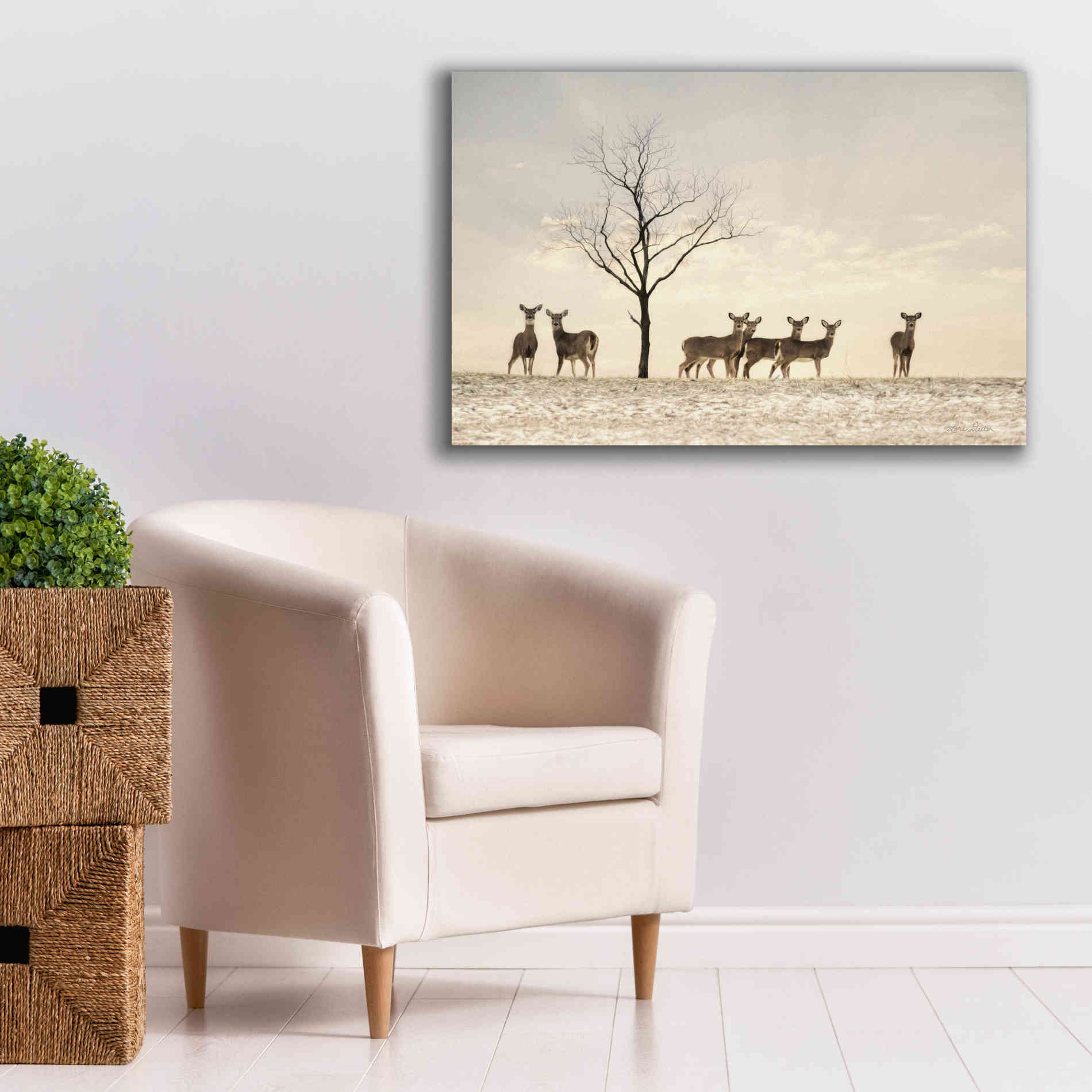 'Doe a Deer' by Lori Deiter, Canvas Wall Art,40 x 26