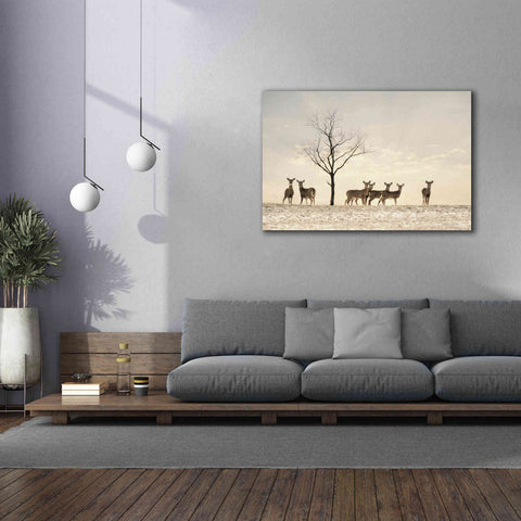 Image of 'Doe a Deer' by Lori Deiter, Canvas Wall Art,60 x 40