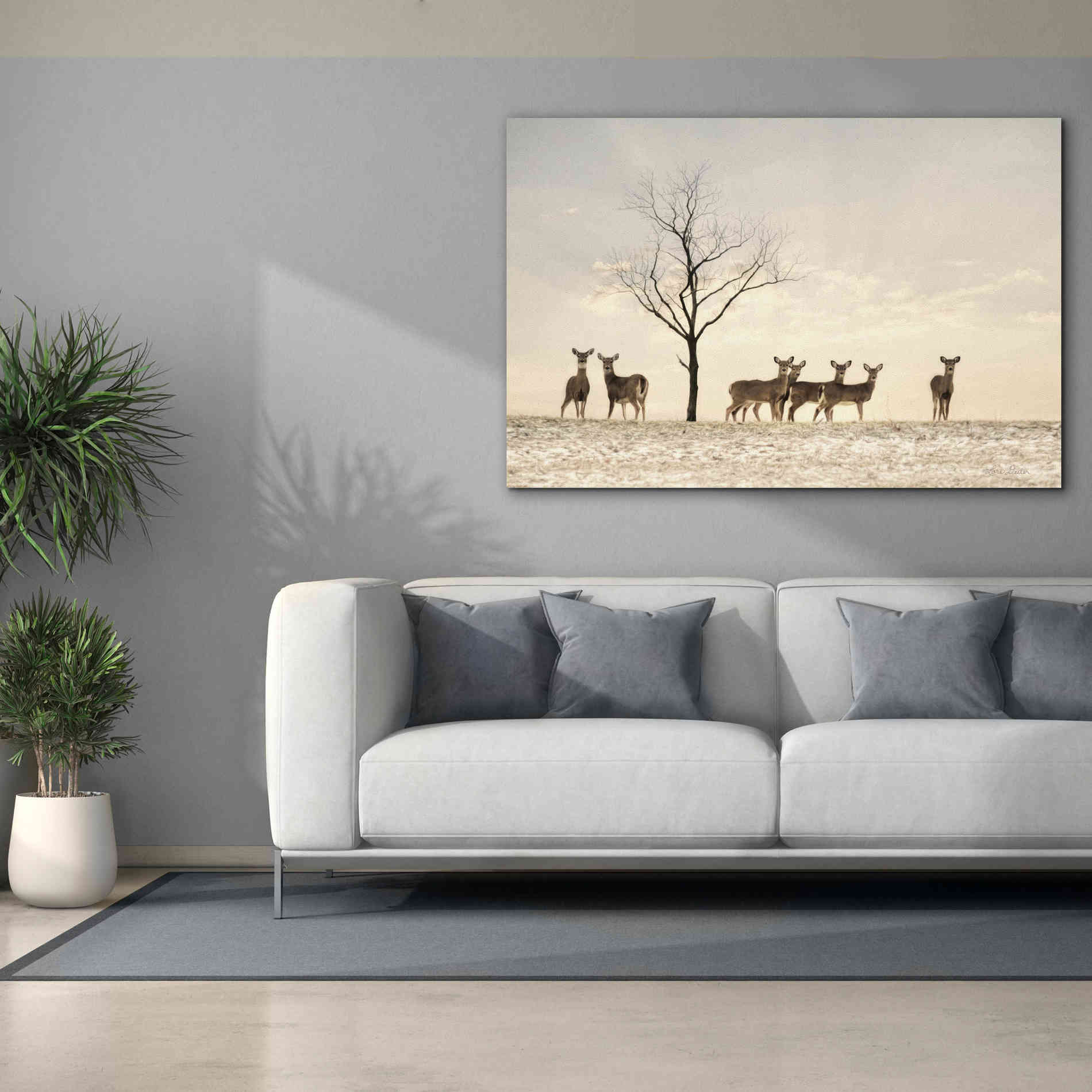 'Doe a Deer' by Lori Deiter, Canvas Wall Art,60 x 40