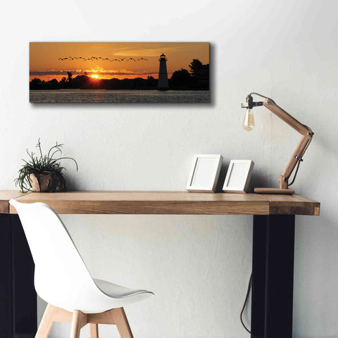 Image of 'Sunset Flight' by Lori Deiter, Canvas Wall Art,36 x 12