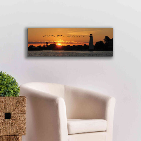 Image of 'Sunset Flight' by Lori Deiter, Canvas Wall Art,36 x 12