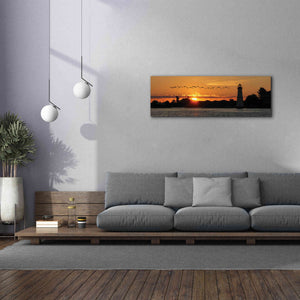 'Sunset Flight' by Lori Deiter, Canvas Wall Art,60 x 20