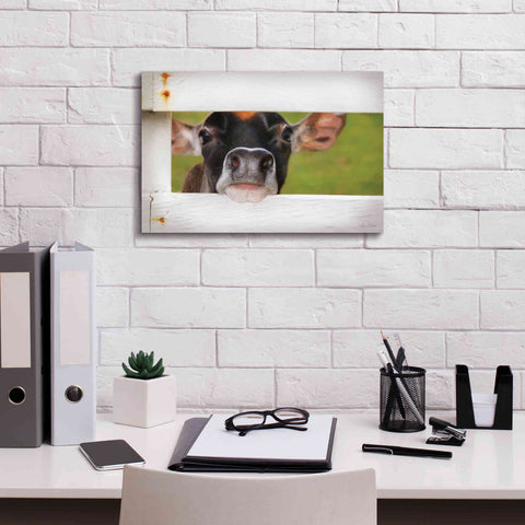 Image of 'Cow at Fence' by Lori Deiter, Canvas Wall Art,18 x 12