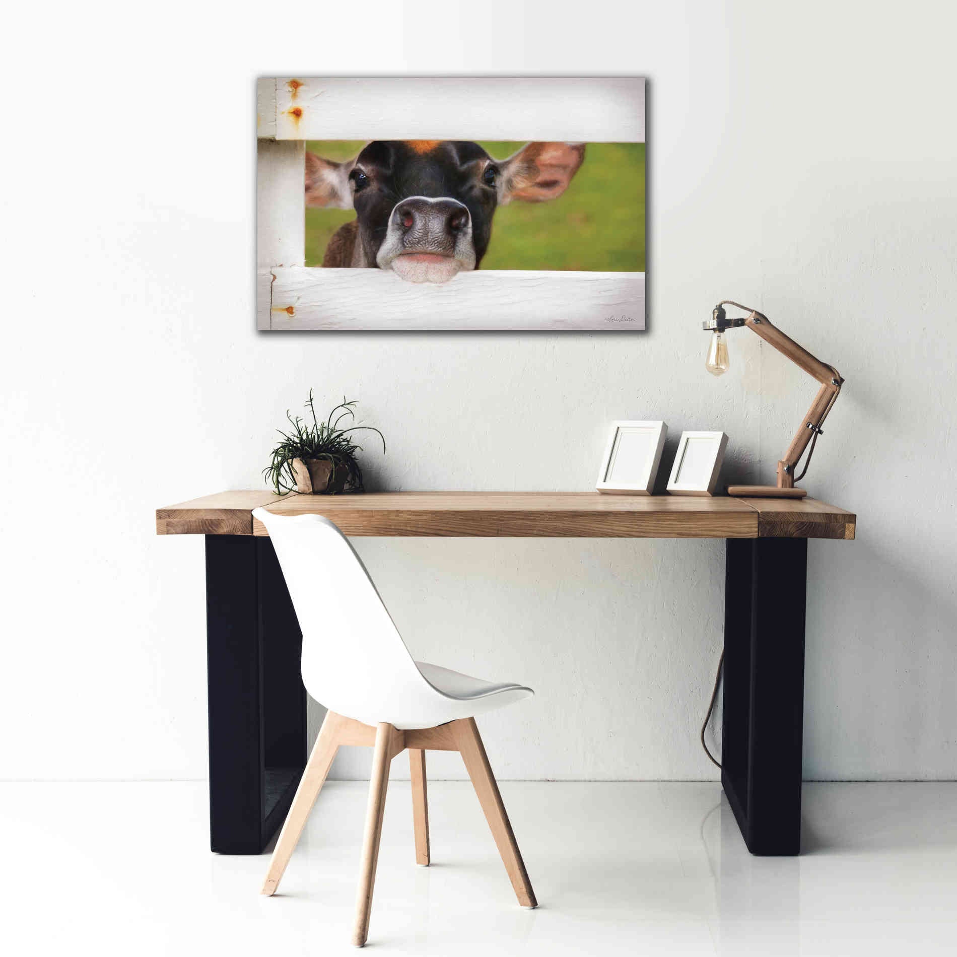 'Cow at Fence' by Lori Deiter, Canvas Wall Art,40 x 26