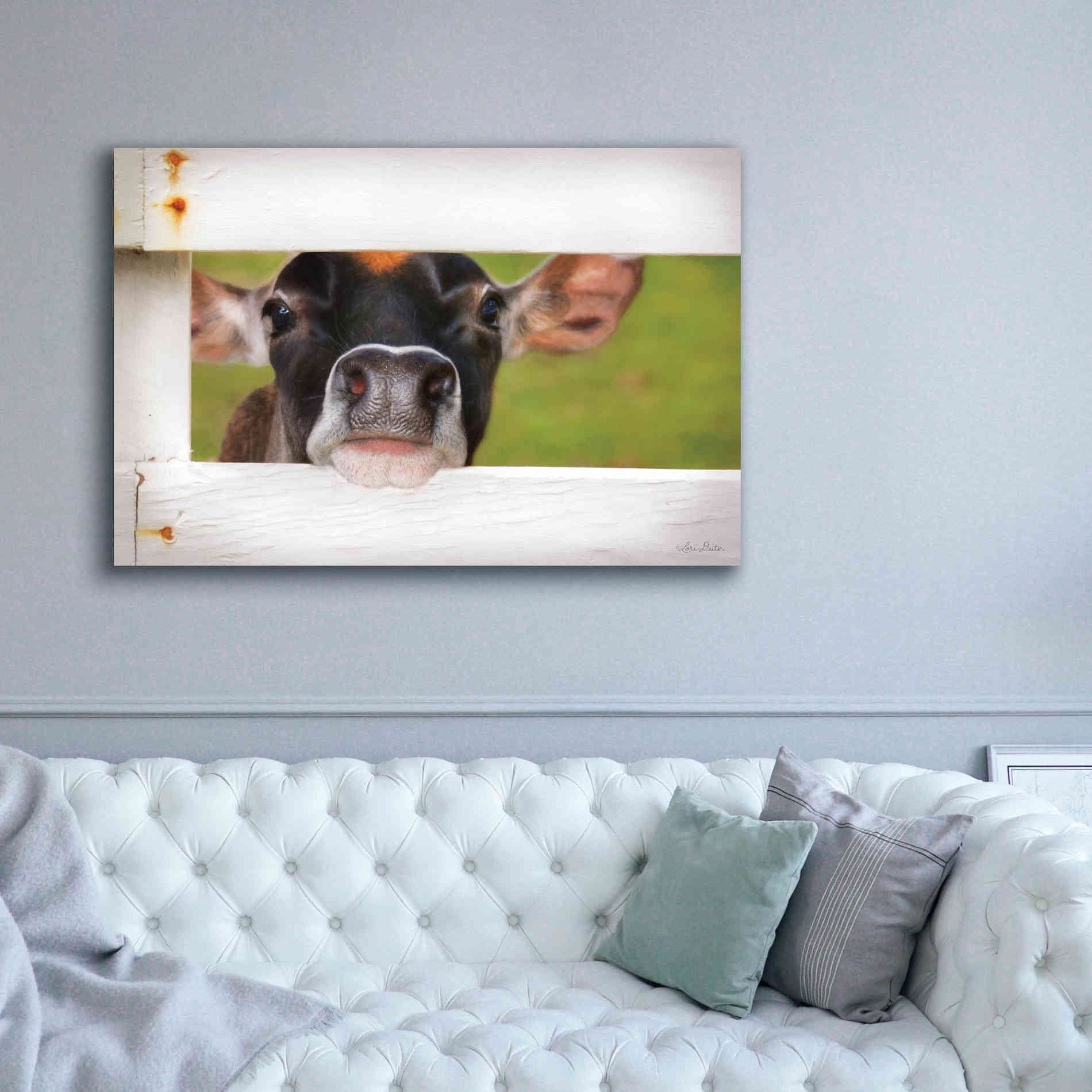 'Cow at Fence' by Lori Deiter, Canvas Wall Art,60 x 40