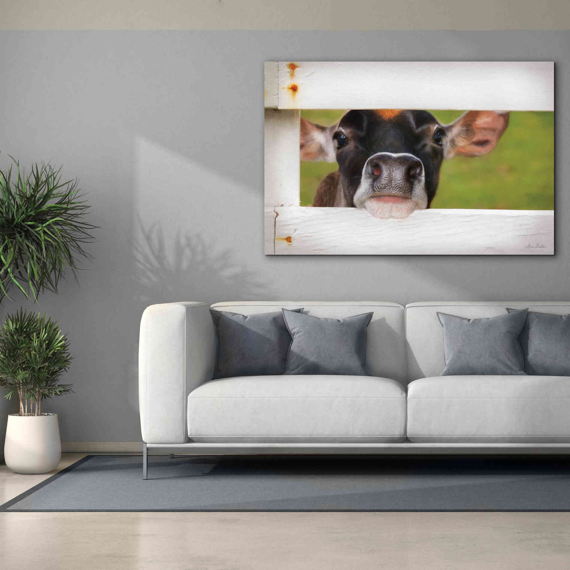 'Cow at Fence' by Lori Deiter, Canvas Wall Art,60 x 40