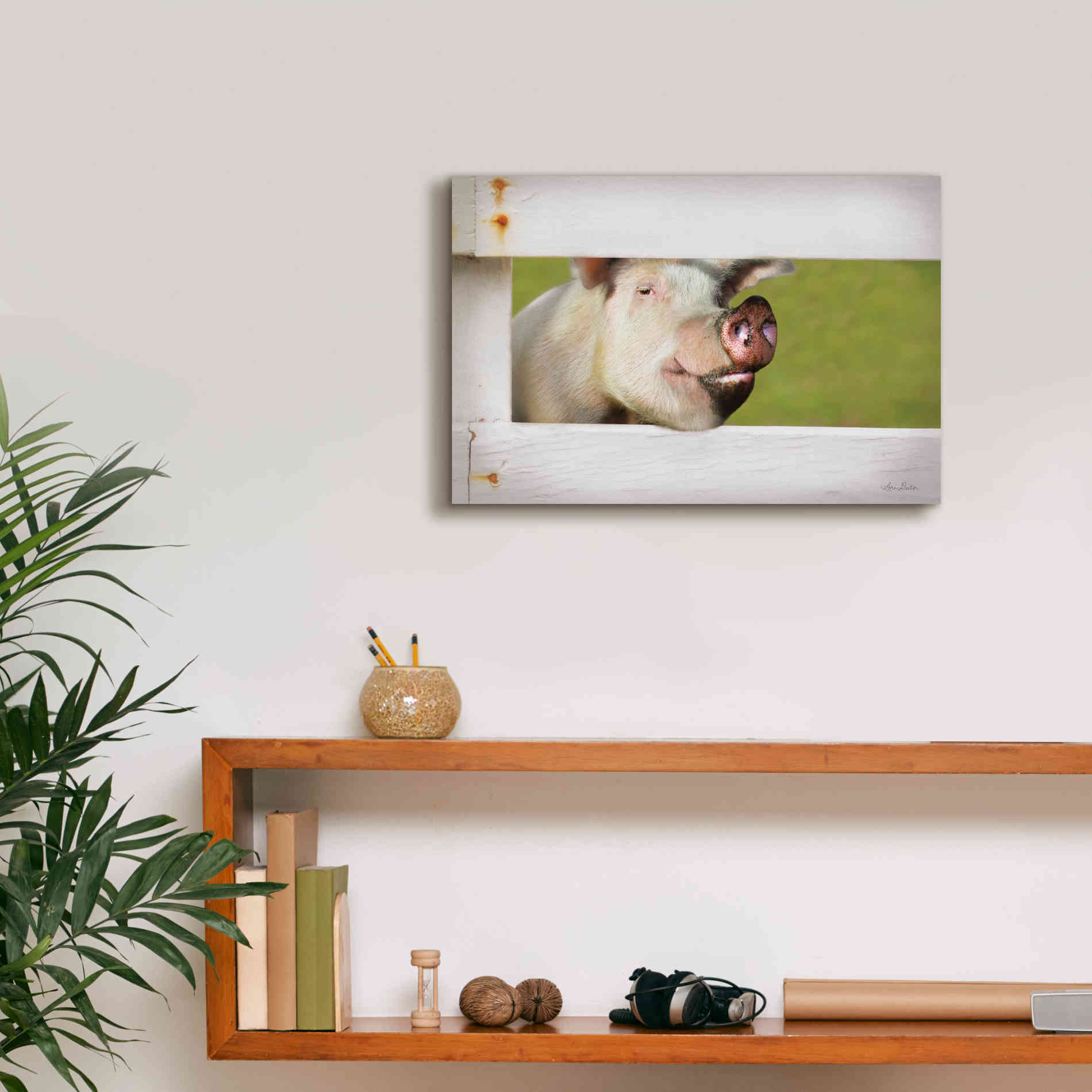 'Pig at Fence' by Lori Deiter, Canvas Wall Art,18 x 12
