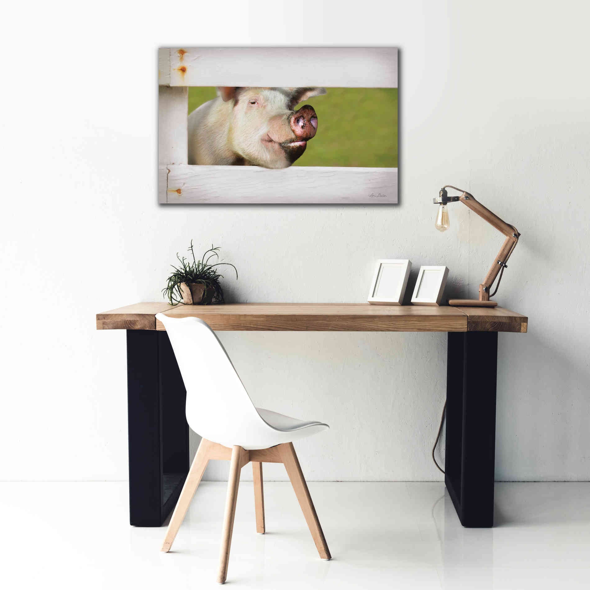'Pig at Fence' by Lori Deiter, Canvas Wall Art,40 x 26