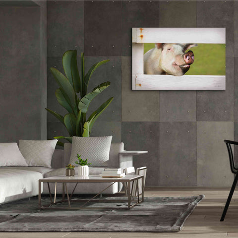 Image of 'Pig at Fence' by Lori Deiter, Canvas Wall Art,60 x 40