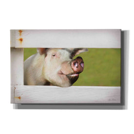 'Pig at Fence' by Lori Deiter, Canvas Wall Art