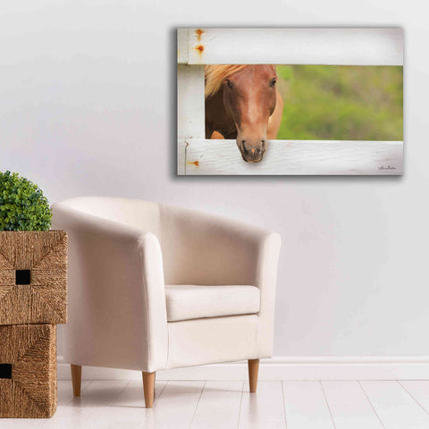 Image of 'Horse at Fence' by Lori Deiter, Canvas Wall Art,40 x 26