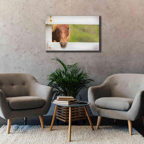 Image of 'Horse at Fence' by Lori Deiter, Canvas Wall Art,40 x 26