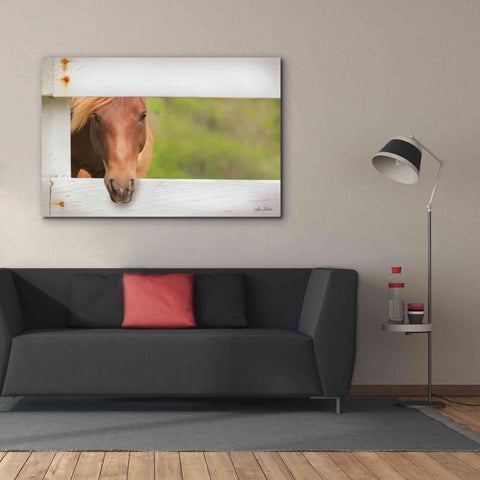 Image of 'Horse at Fence' by Lori Deiter, Canvas Wall Art,60 x 40