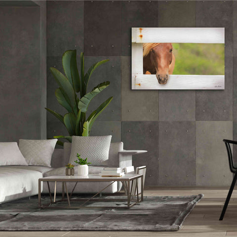 Image of 'Horse at Fence' by Lori Deiter, Canvas Wall Art,60 x 40