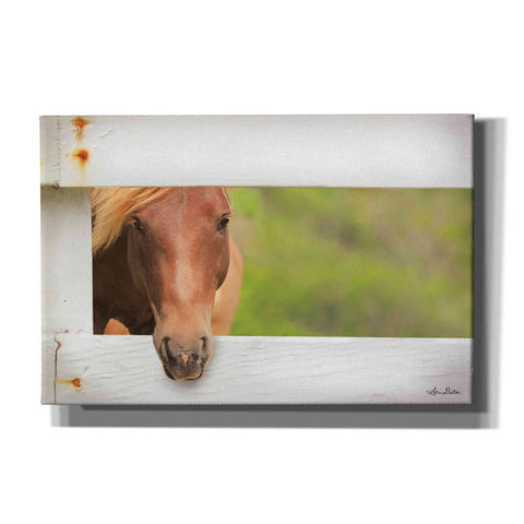 Image of 'Horse at Fence' by Lori Deiter, Canvas Wall Art