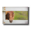 'Horse at Fence' by Lori Deiter, Canvas Wall Art
