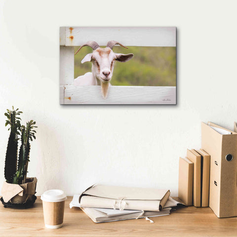 Image of 'Goat at Fence' by Lori Deiter, Canvas Wall Art,18 x 12