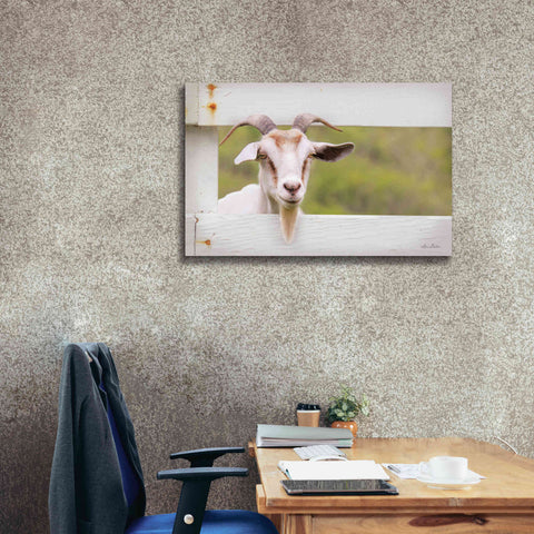 Image of 'Goat at Fence' by Lori Deiter, Canvas Wall Art,40 x 26