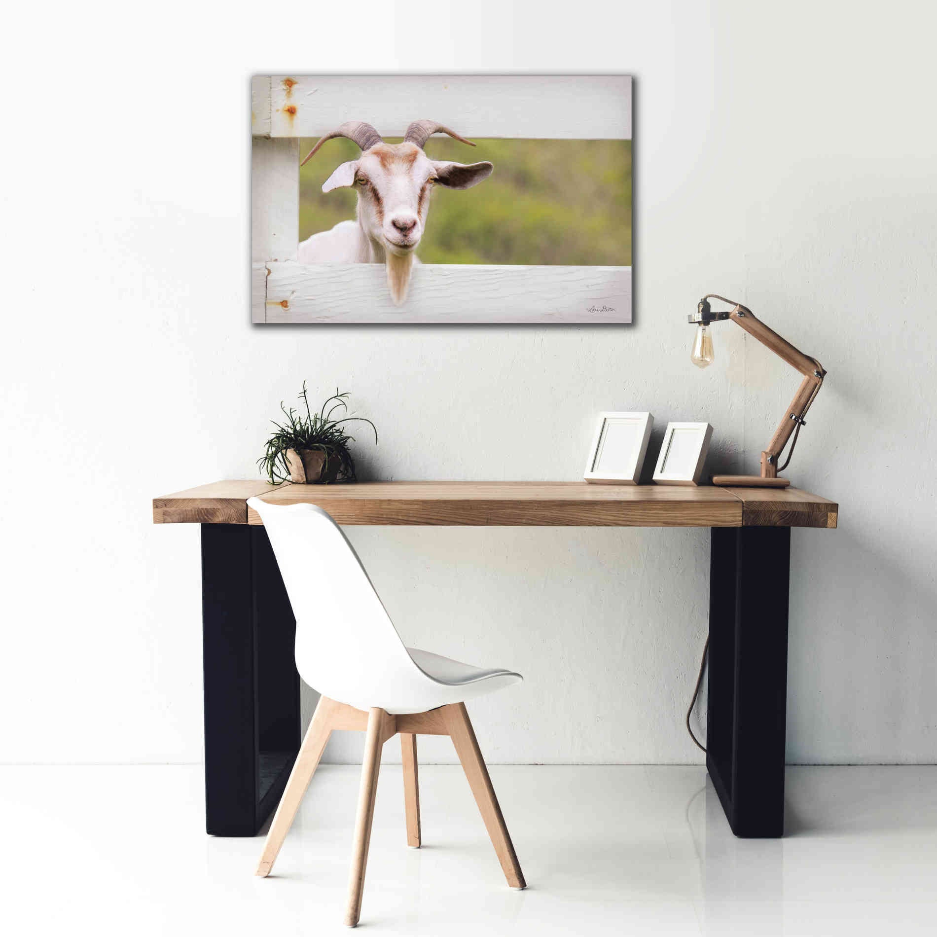 'Goat at Fence' by Lori Deiter, Canvas Wall Art,40 x 26