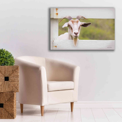 Image of 'Goat at Fence' by Lori Deiter, Canvas Wall Art,40 x 26
