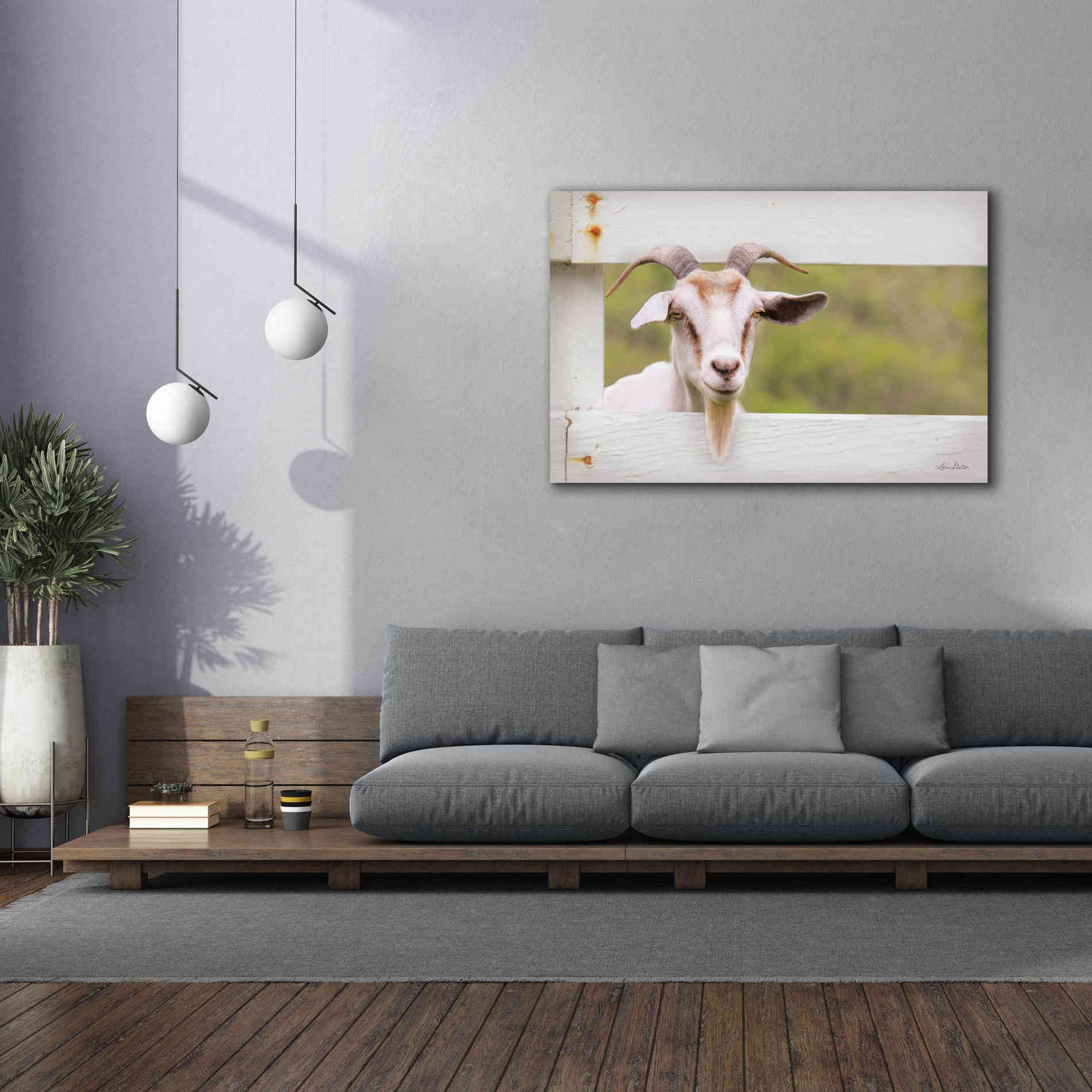 'Goat at Fence' by Lori Deiter, Canvas Wall Art,60 x 40