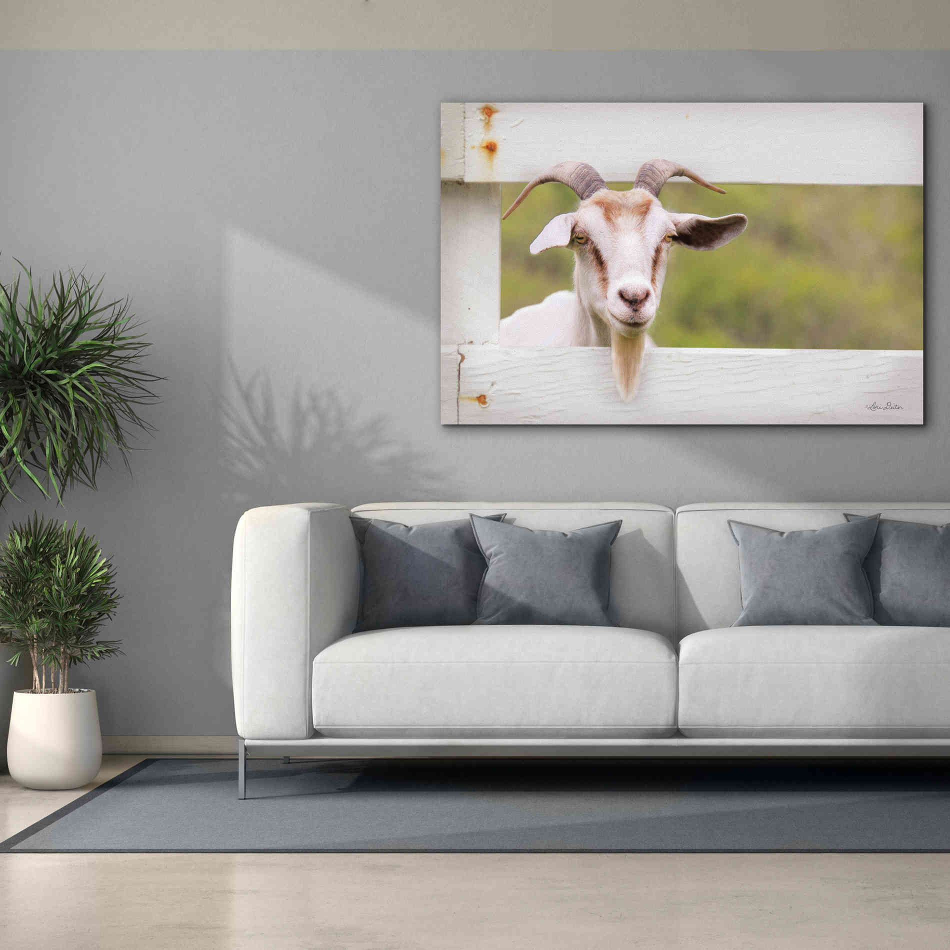 'Goat at Fence' by Lori Deiter, Canvas Wall Art,60 x 40