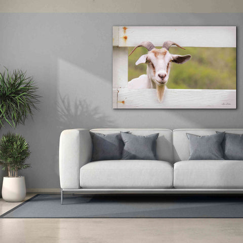 Image of 'Goat at Fence' by Lori Deiter, Canvas Wall Art,60 x 40