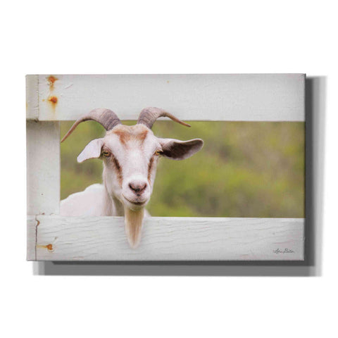 Image of 'Goat at Fence' by Lori Deiter, Canvas Wall Art