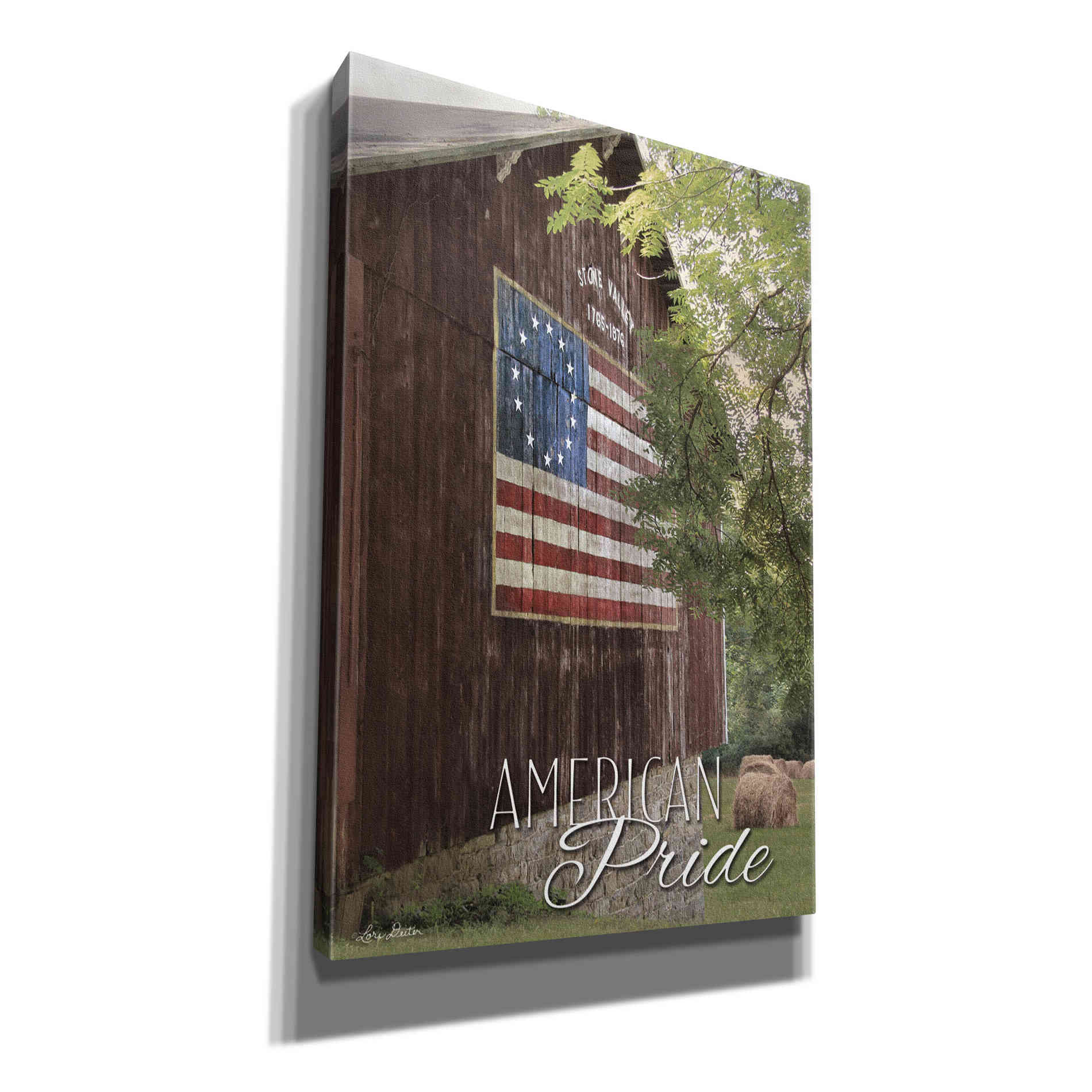 'American Pride' by Lori Deiter, Canvas Wall Art