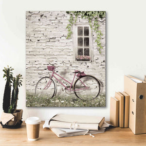 'Ready for a Bike Ride' by Lori Deiter, Canvas Wall Art,20 x 24