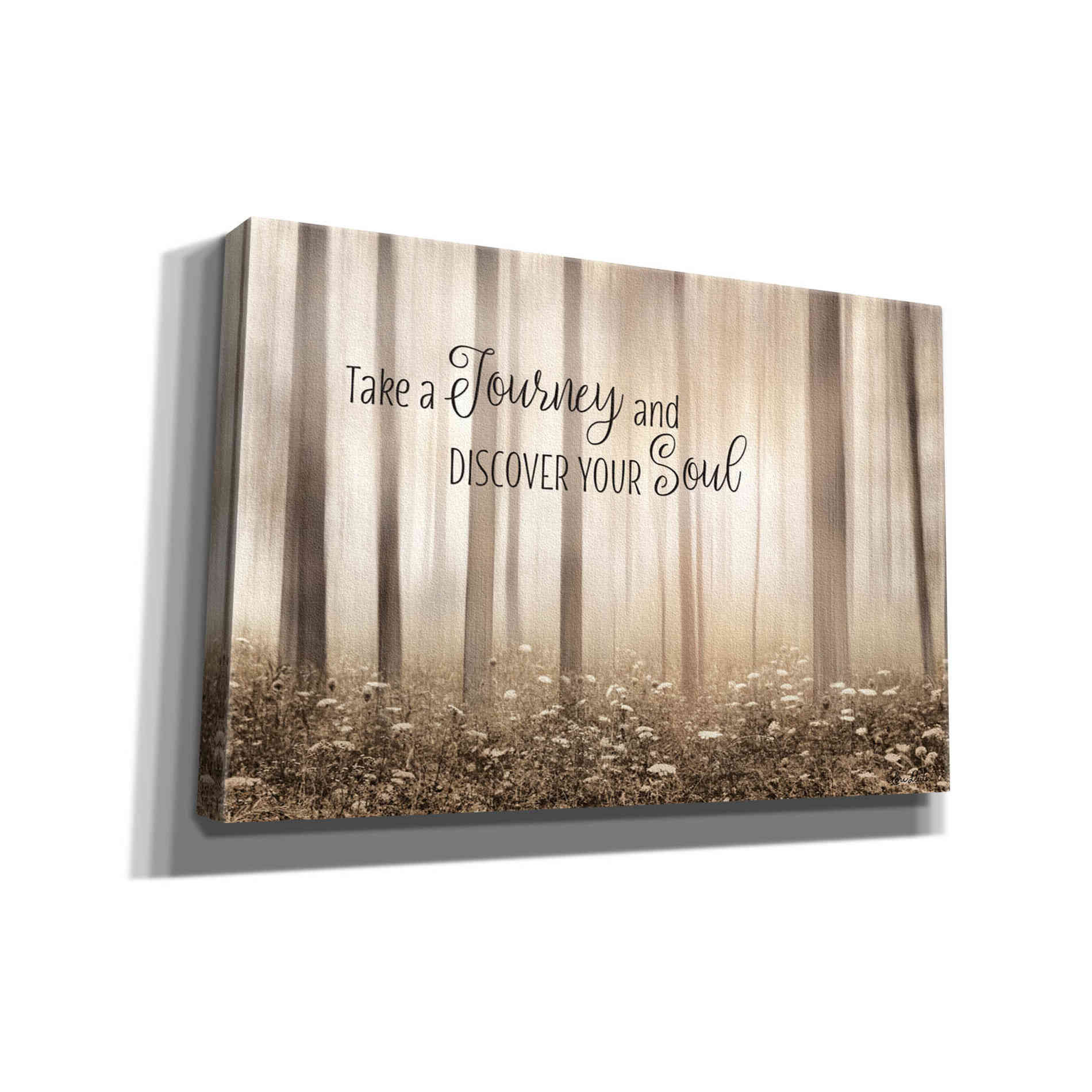 'Take a Journey and Discover Your Soul' by Lori Deiter, Canvas Wall Art
