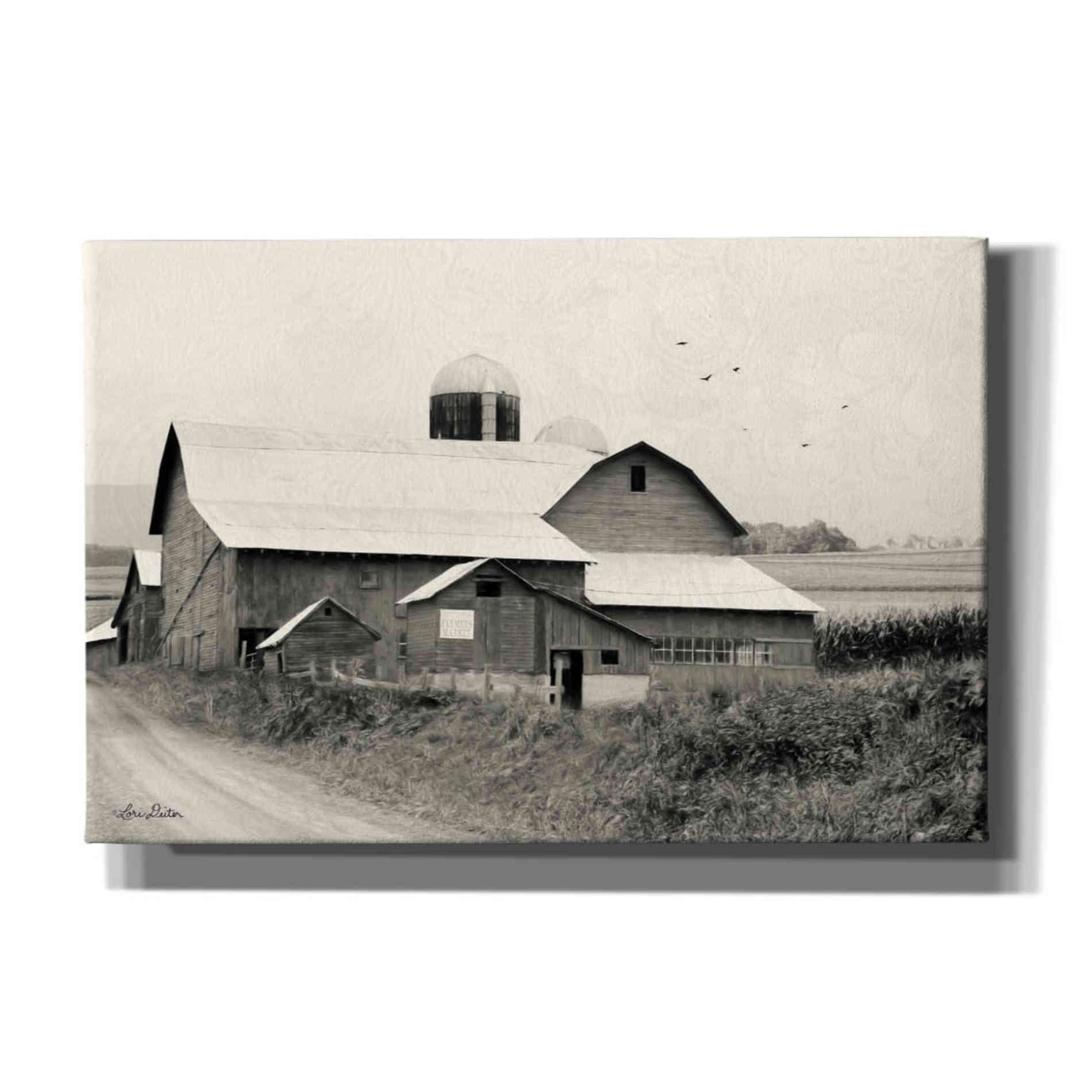 'Rural Charm' by Lori Deiter, Canvas Wall Art