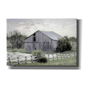 'Barnsville Barn' by Lori Deiter, Canvas Wall Art