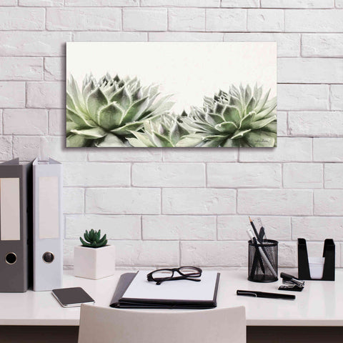 Image of 'Soft Succulents I' by Lori Deiter, Canvas Wall Art,24 x 12