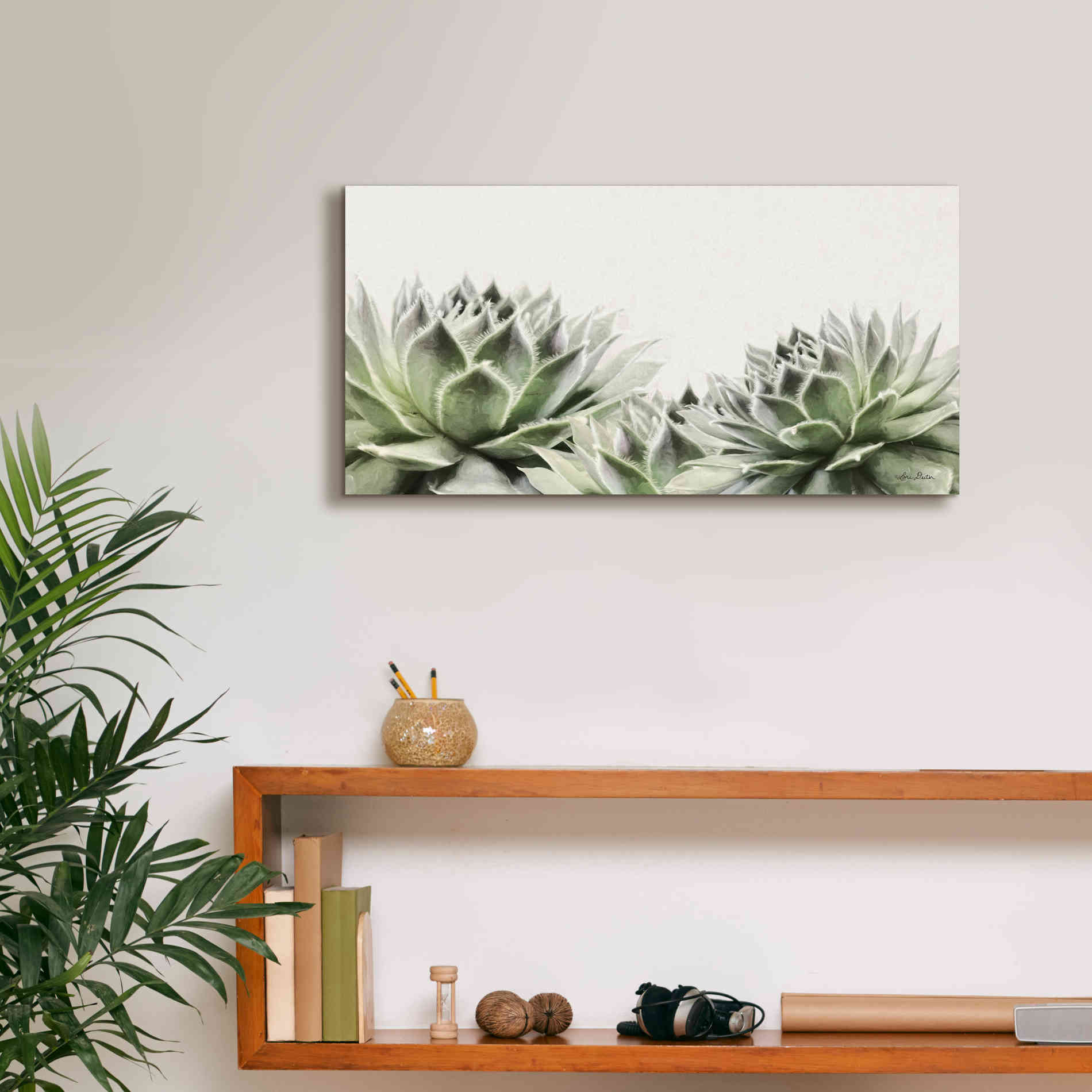 'Soft Succulents I' by Lori Deiter, Canvas Wall Art,24 x 12