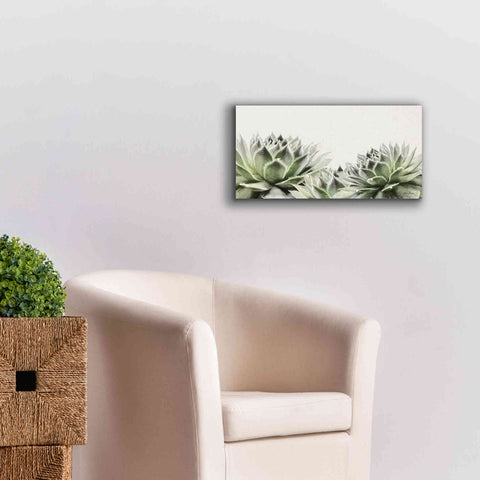 Image of 'Soft Succulents I' by Lori Deiter, Canvas Wall Art,24 x 12