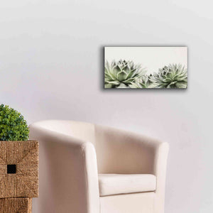 'Soft Succulents I' by Lori Deiter, Canvas Wall Art,24 x 12