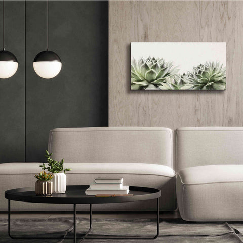 Image of 'Soft Succulents I' by Lori Deiter, Canvas Wall Art,40 x 20