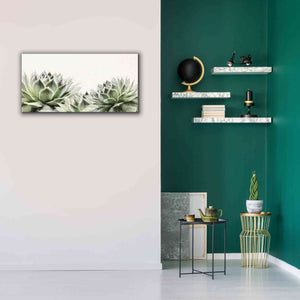 'Soft Succulents I' by Lori Deiter, Canvas Wall Art,40 x 20
